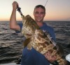 Shark bay cod 92cm